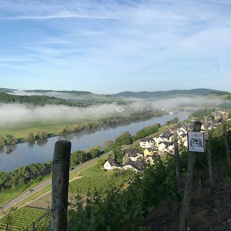 Wein- Und Gaestehaus Genetsch 利塞尔 外观 照片