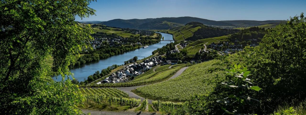 Wein- Und Gaestehaus Genetsch 利塞尔 外观 照片
