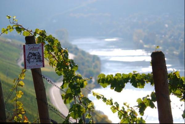Wein- Und Gaestehaus Genetsch 利塞尔 外观 照片