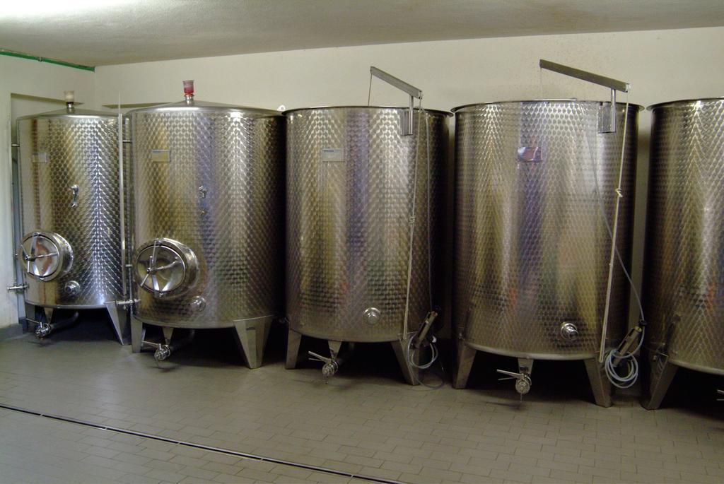 Wein- Und Gaestehaus Genetsch 利塞尔 外观 照片