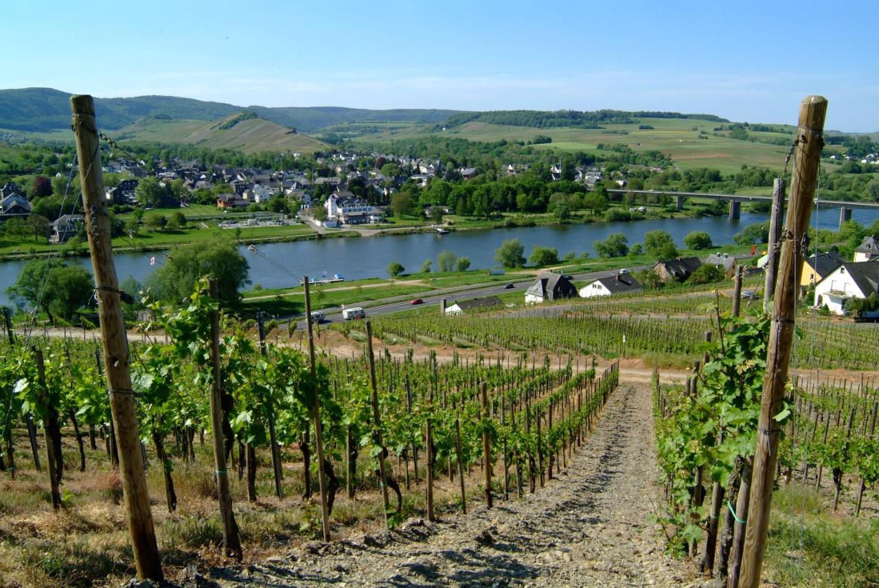 Wein- Und Gaestehaus Genetsch 利塞尔 外观 照片
