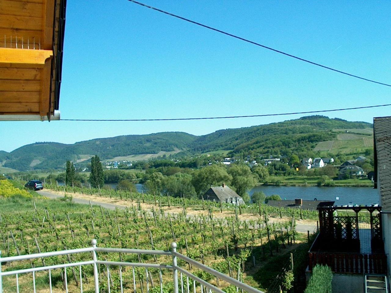 Wein- Und Gaestehaus Genetsch 利塞尔 外观 照片
