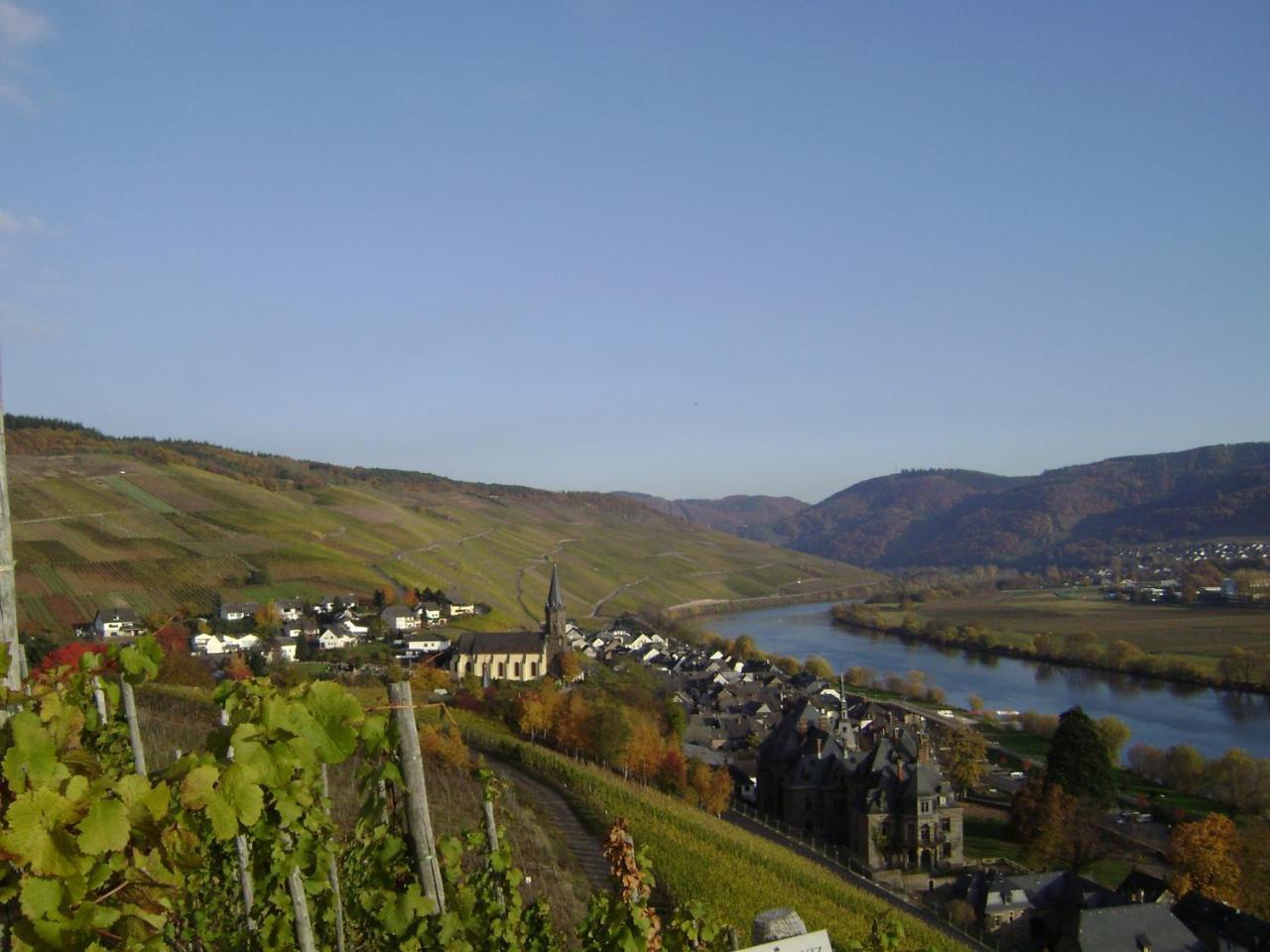 Wein- Und Gaestehaus Genetsch 利塞尔 外观 照片