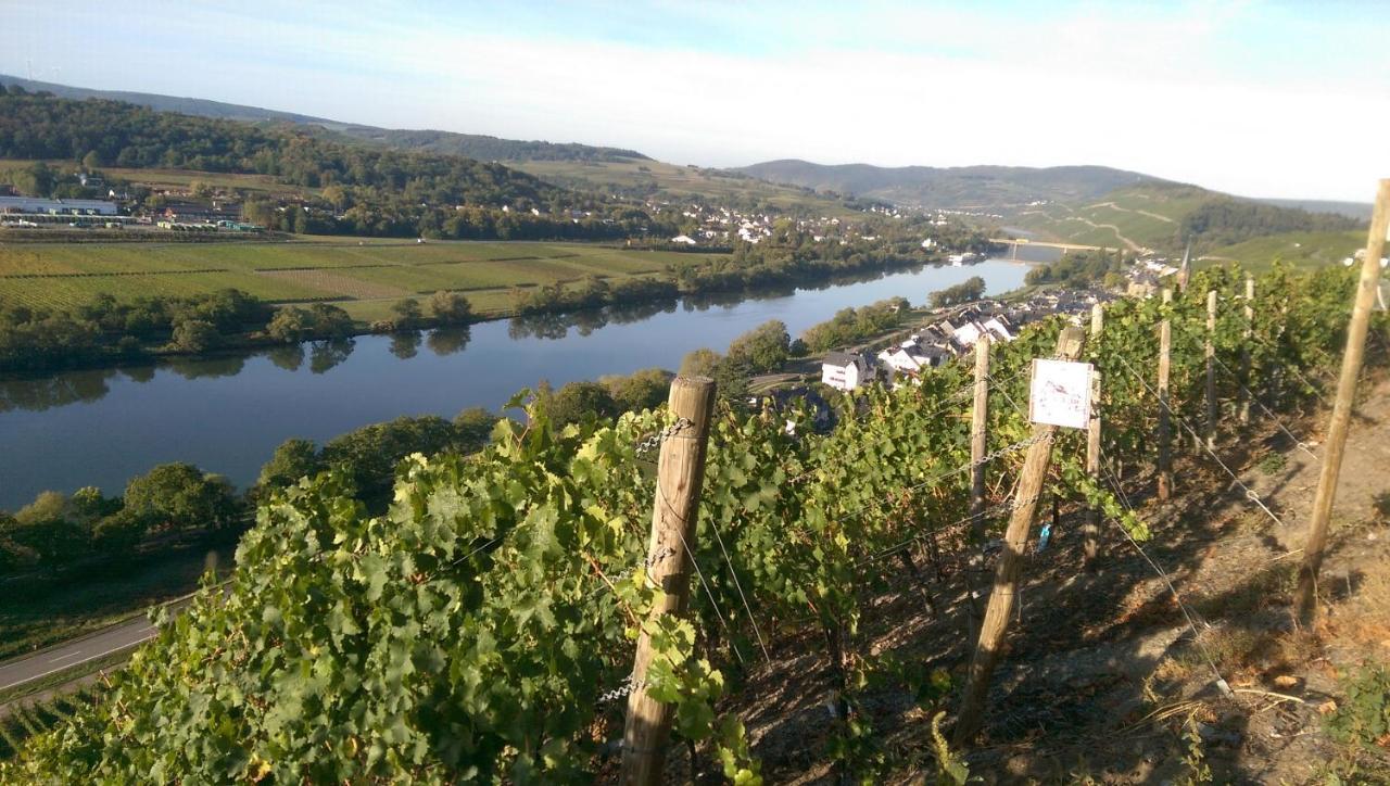 Wein- Und Gaestehaus Genetsch 利塞尔 外观 照片